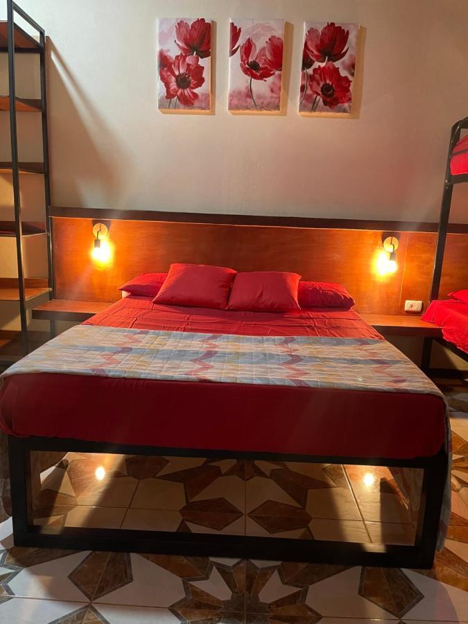 Posada Miradia Matapalo  Extérieur photo